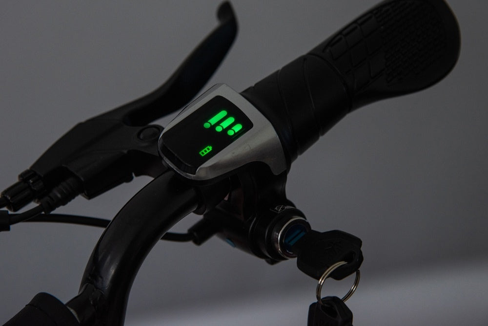 Elektrische kinder crossmotor 36V 350 watt (rood) - Trapautodealer